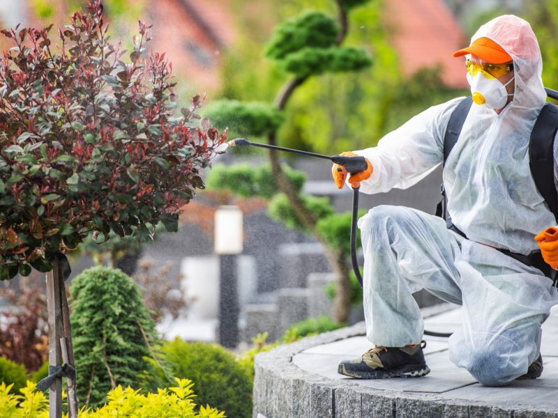 Güngören Haşere İlaçlama