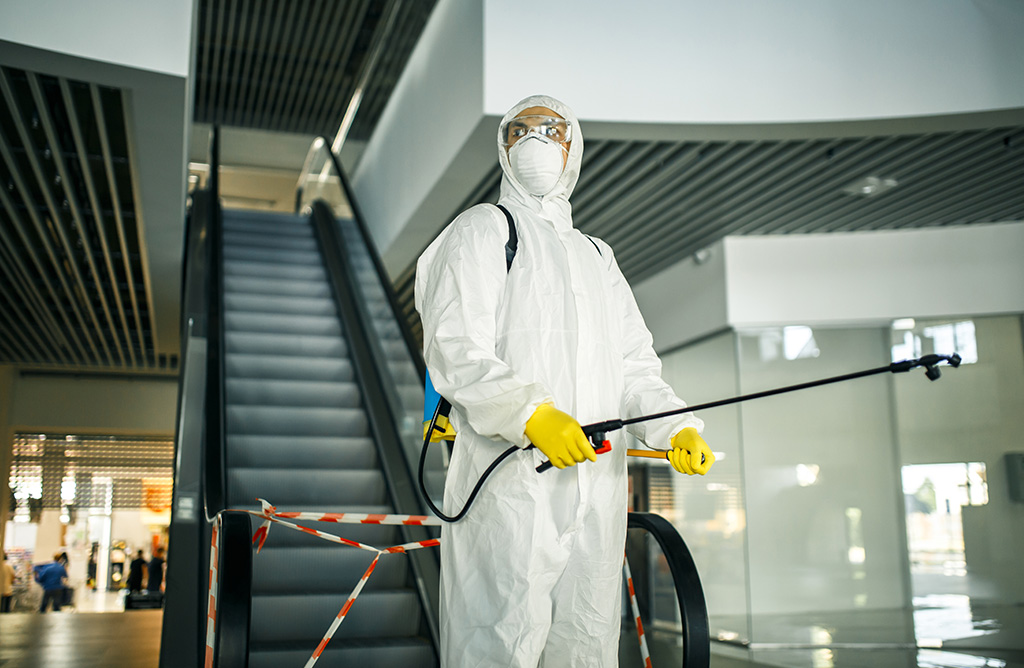 Güngören Haşere İlaçlama